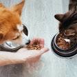The Importance of Integrated Formulation Software in Pet Food Manufacturing